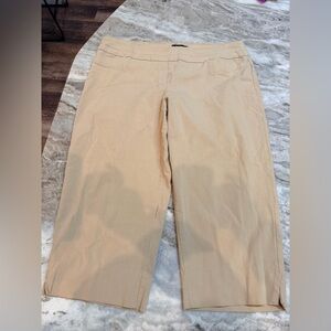 Zac & Rachel Women’s 16W Tan Stretch Dress Pants Career Workwear